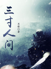 三寸人间 起点